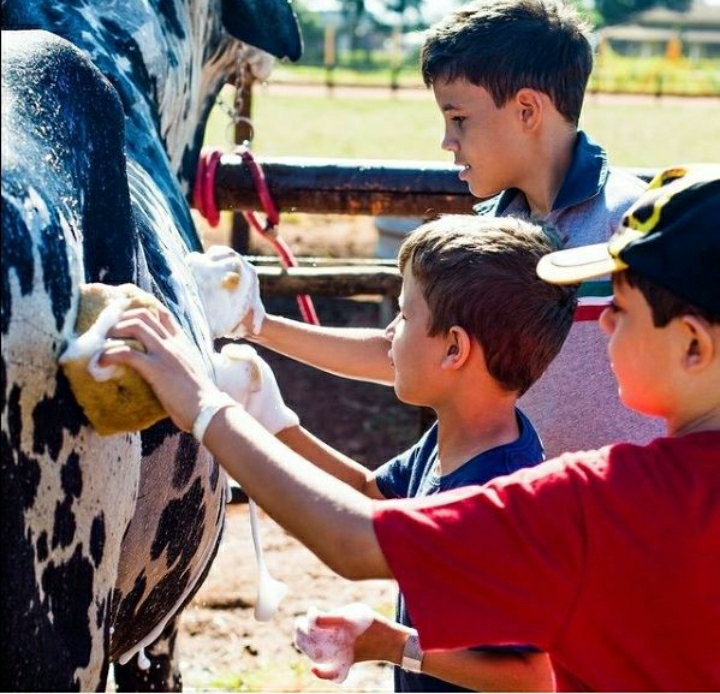 experiência rural no Barretos Country Resort