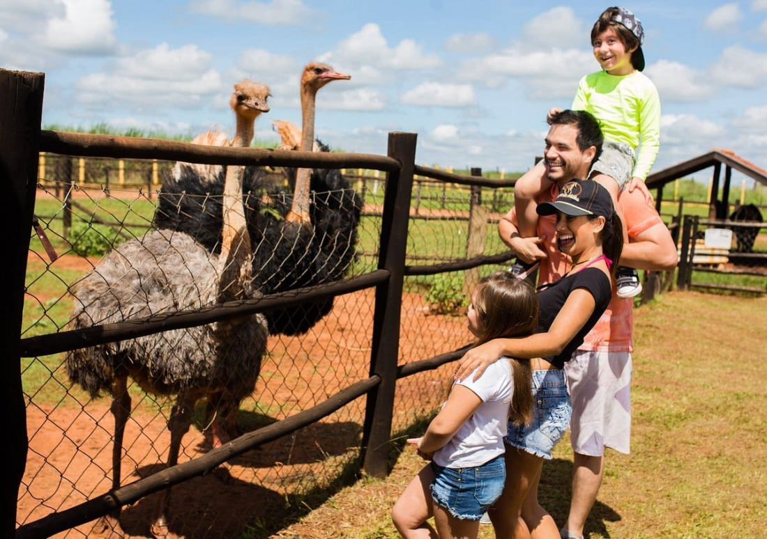 crianças na fazendinha do Barretos Country